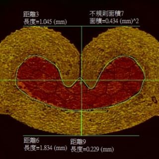 Terminal crimping cross-section ratio analyzer